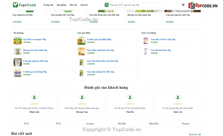 website,bán website,web bán gạo